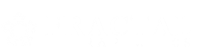Fractal Therapeutics